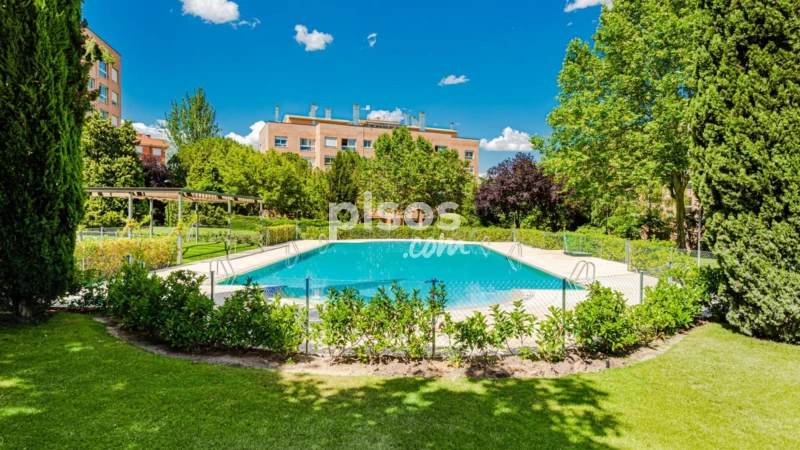 Piso en alquiler en Calle de Esteban Palacios