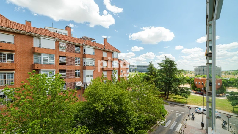 Piso en alquiler en Calle de Esteban Palacios