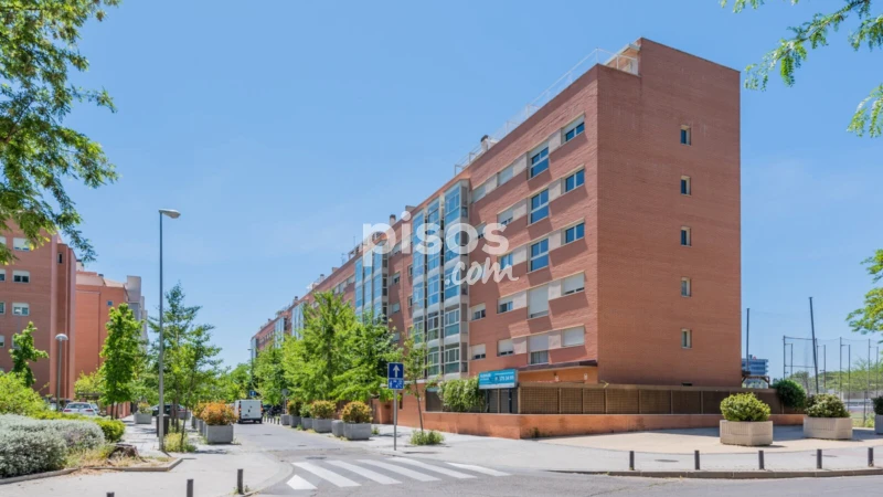 Piso en alquiler en Paseo de la Alameda de Osuna