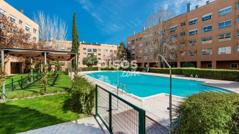 Piso en alquiler en Calle de José Rizal