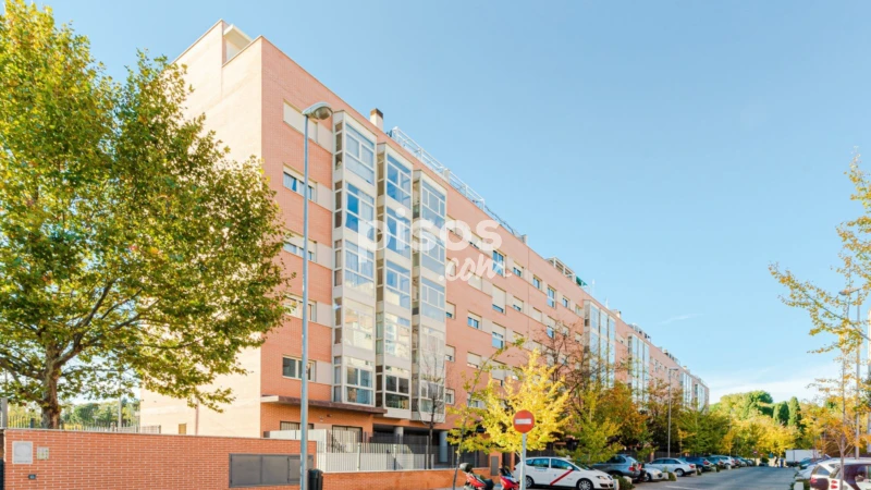 Piso en alquiler en Paseo de la Alameda de Osuna