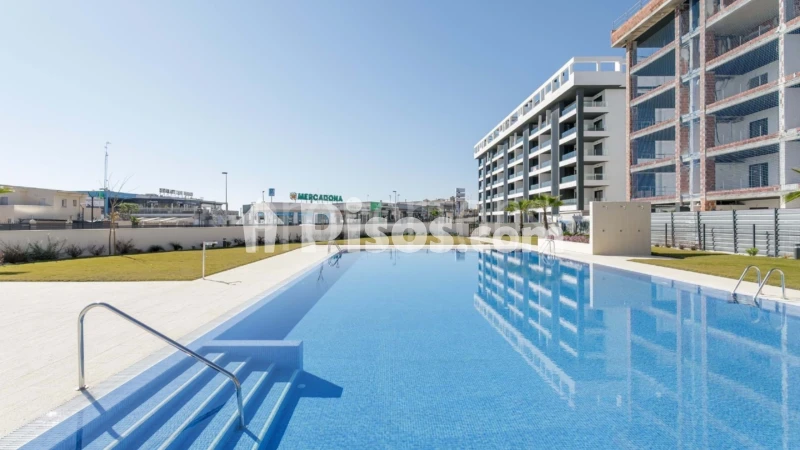 Pis – Torrevieja