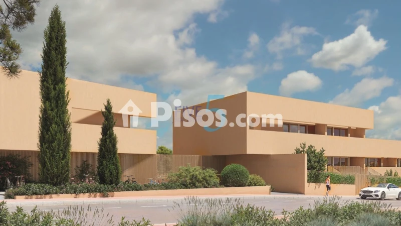 Pis – Torrevieja