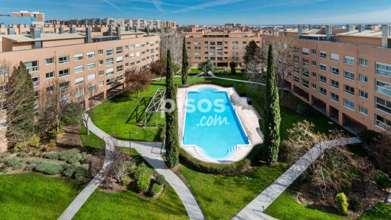 Piso en alquiler en Calle J. Antonio Navarrete