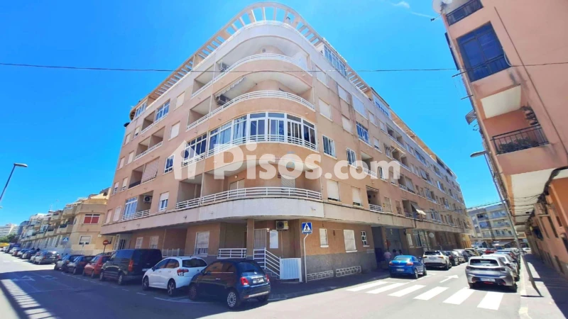 Pis – Torrevieja