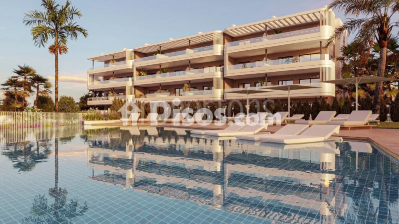 Pis – Torrevieja