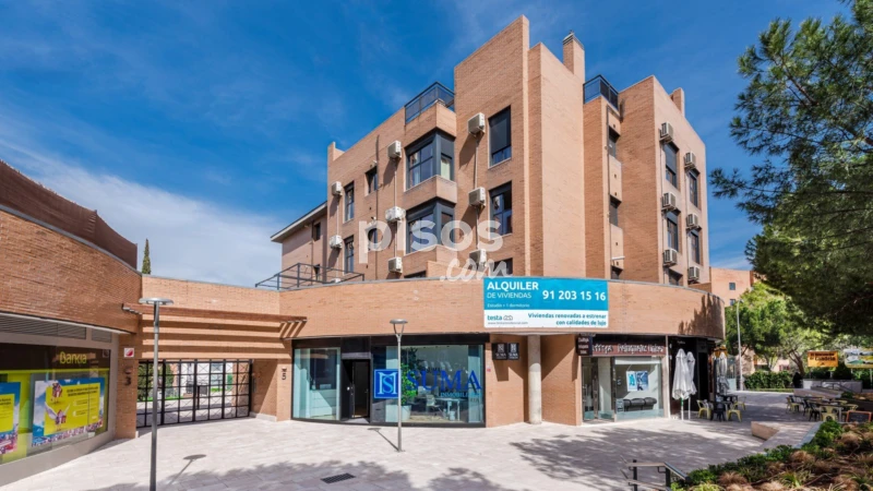 Piso en alquiler en Calle de Diego Ayllón