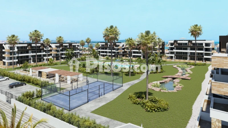 Pis – Torrevieja