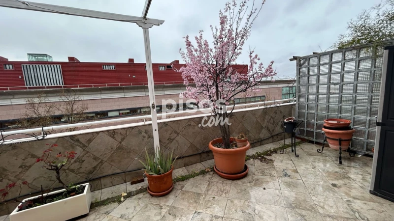 Piso en alquiler en Calle de la Diligencia