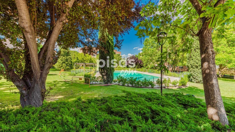 Piso en alquiler en Calle de Esteban Palacios