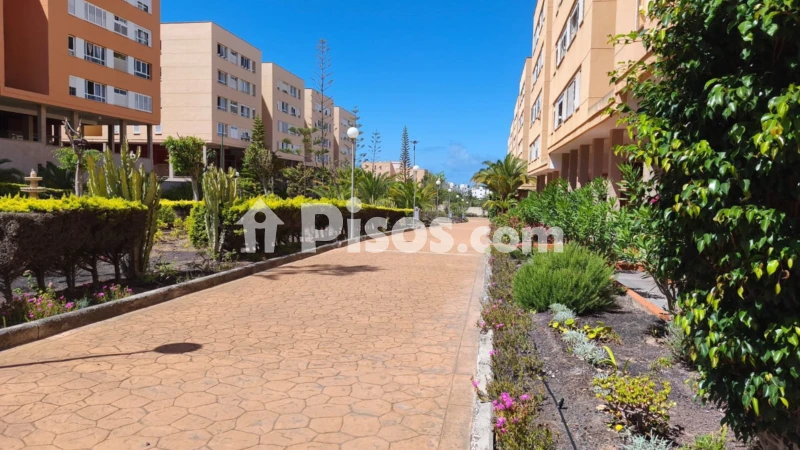 Fotografía del inmueble reportado: 1.180 €/mes — Las Palmas, Las Palmas