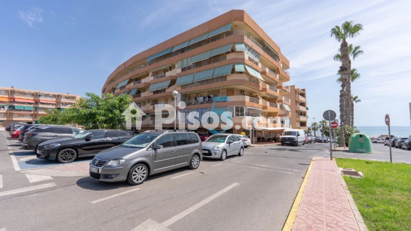 Pis – Guardamar del Segura, Urbanització Pinar de Guardamar