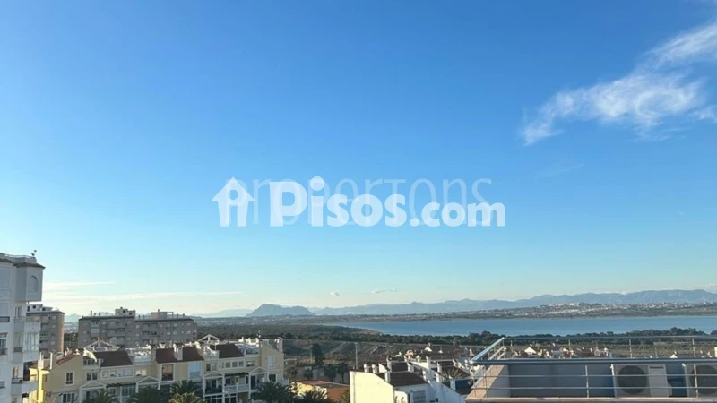 Pis – Torrevieja