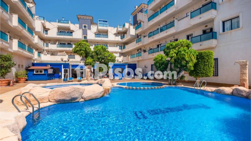 Piso – Orihuela, Mil Palmeras