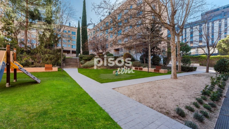 Piso en alquiler en Calle de José Rizal