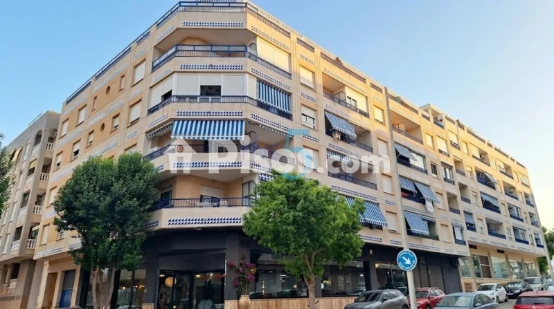 Pis – Guardamar del Segura, Urbanització Pinar de Guardamar