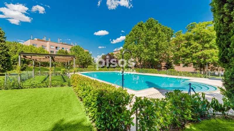 Piso en alquiler en Avenida del Papa Negro