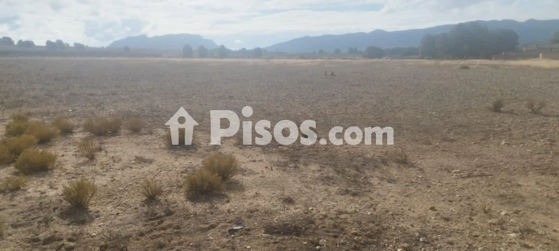 Casa – Salinas, Cecilia Bartolomé (Mujeres Libres), l'Alt Vinalopó / El Alto Vinalopó