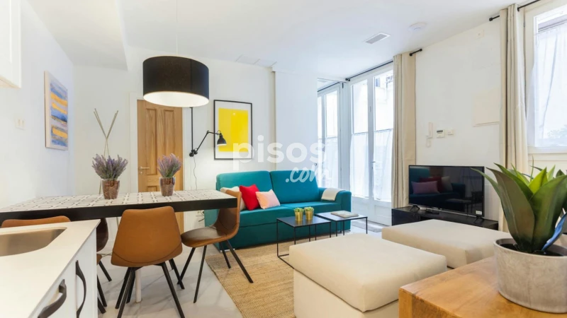 Piso en alquiler en Embajadores-Lavapiés