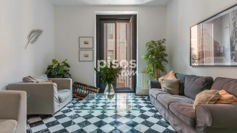 Piso en alquiler en Embajadores-Lavapiés