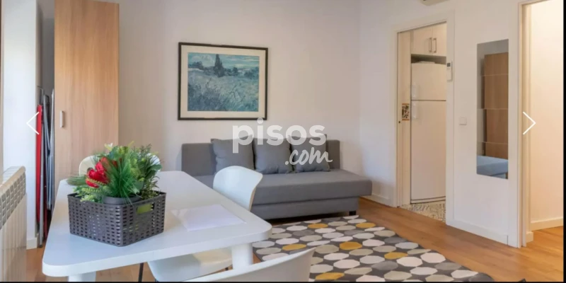 Piso en alquiler en Embajadores-Lavapiés