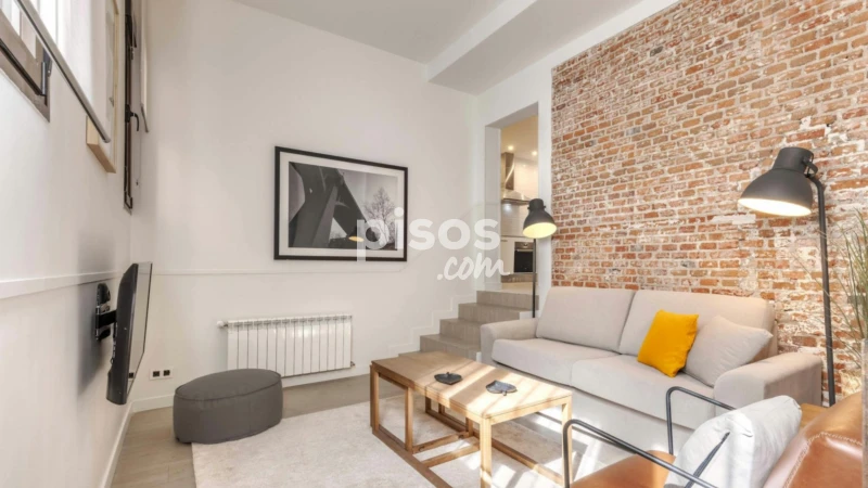 Piso en alquiler en Embajadores-Lavapiés