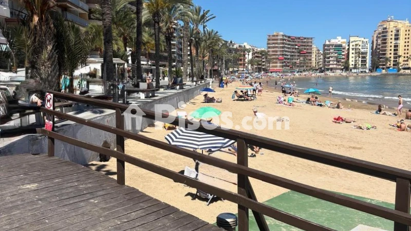 Pis – Torrevieja
