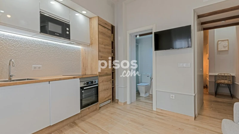 Piso en alquiler en Embajadores-Lavapiés