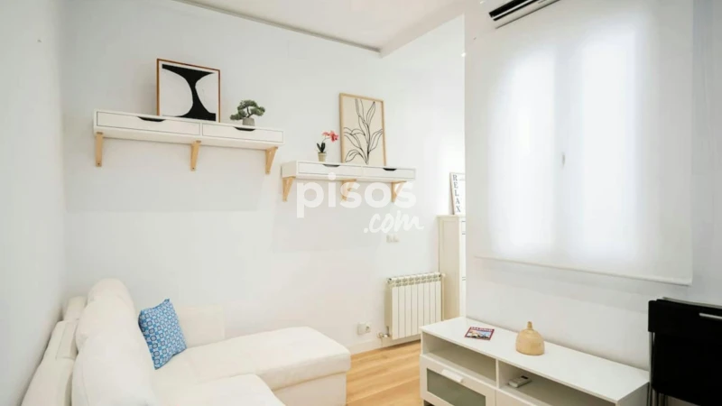 Piso en alquiler en Embajadores-Lavapiés