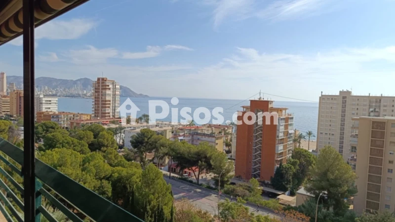 Pis – Benidorm