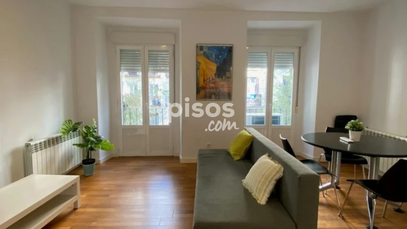 Piso en alquiler en Embajadores-Lavapiés