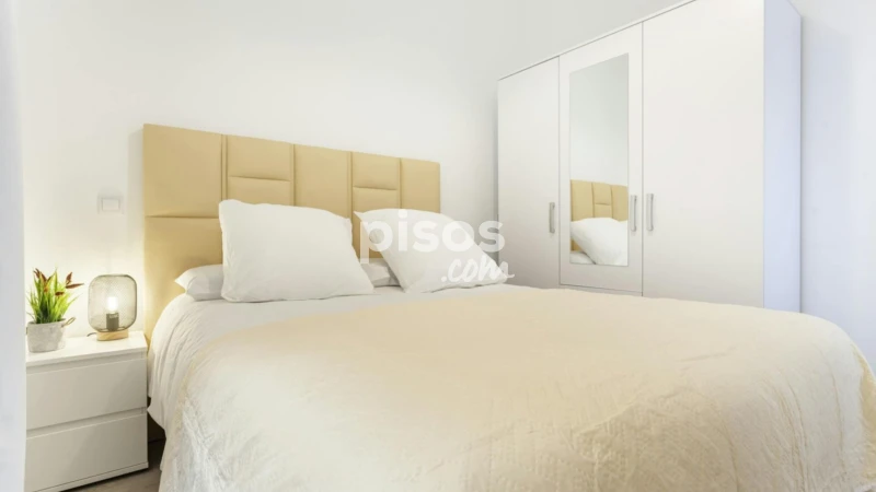 Piso en alquiler en Embajadores-Lavapiés