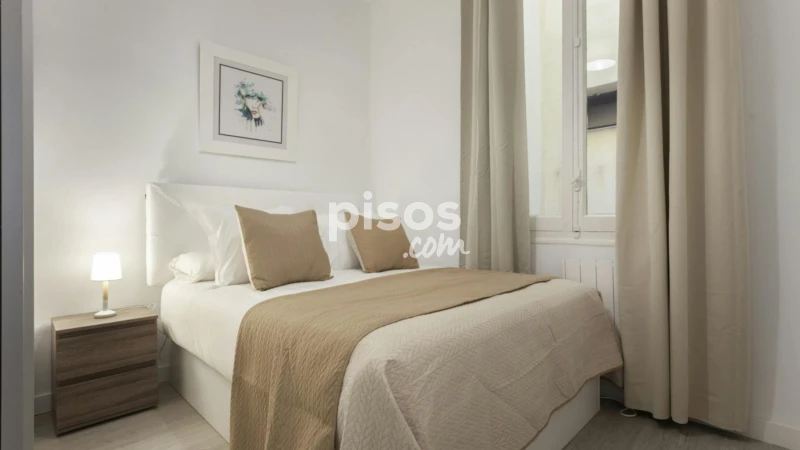 Piso en alquiler en Embajadores-Lavapiés