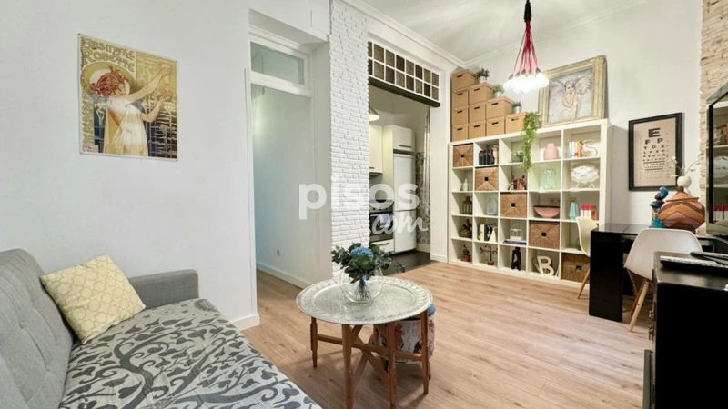 Piso en alquiler en Embajadores-Lavapiés