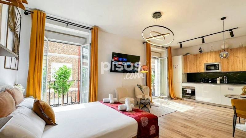 Piso en alquiler en Embajadores-Lavapiés