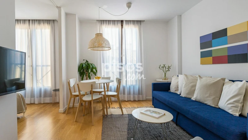 Piso en alquiler en Embajadores-Lavapiés