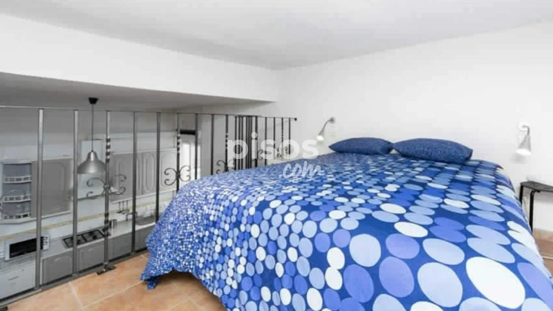Piso en alquiler en Embajadores-Lavapiés