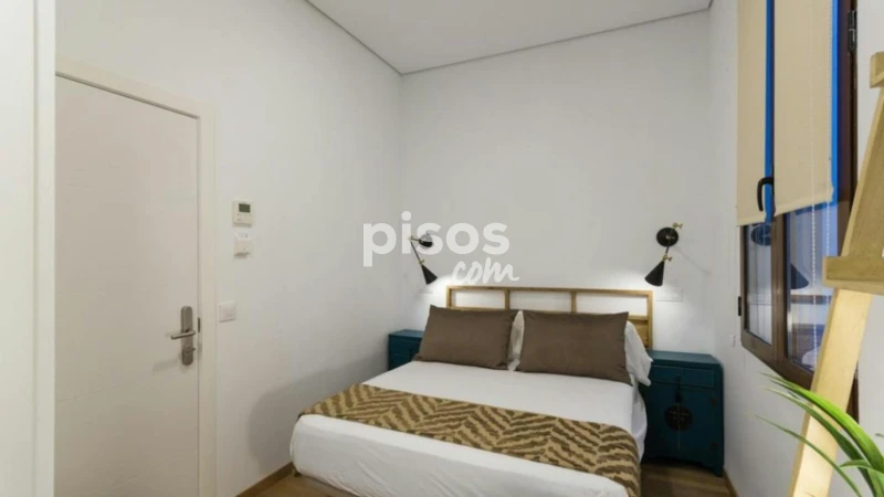 Piso en alquiler en Embajadores-Lavapiés