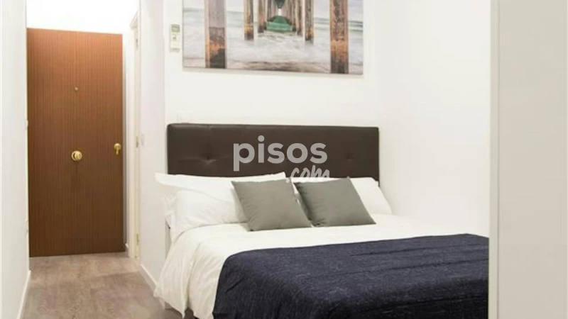 Piso en alquiler en Embajadores-Lavapiés