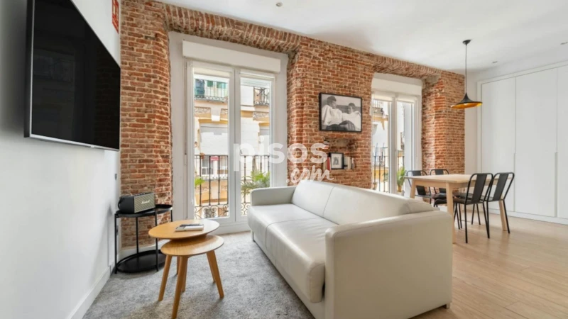 Piso en alquiler en Embajadores-Lavapiés