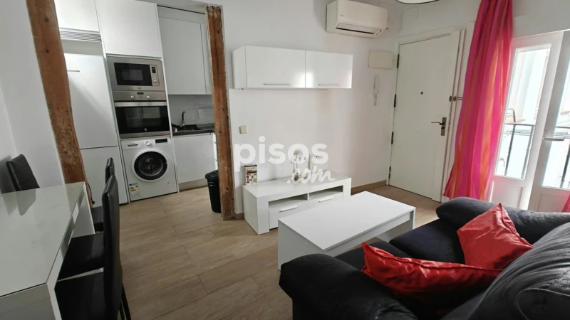 Piso en alquiler en Embajadores-Lavapiés