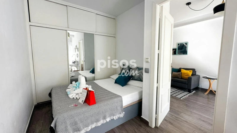 Piso en alquiler en Embajadores-Lavapiés