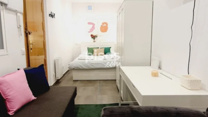 Piso en alquiler en Embajadores-Lavapiés