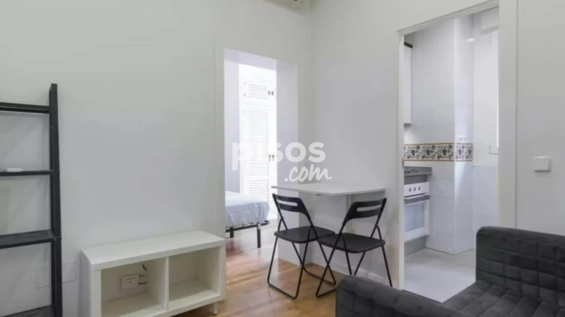 Piso en alquiler en Embajadores-Lavapiés