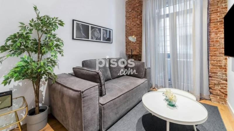 Piso en alquiler en Embajadores-Lavapiés