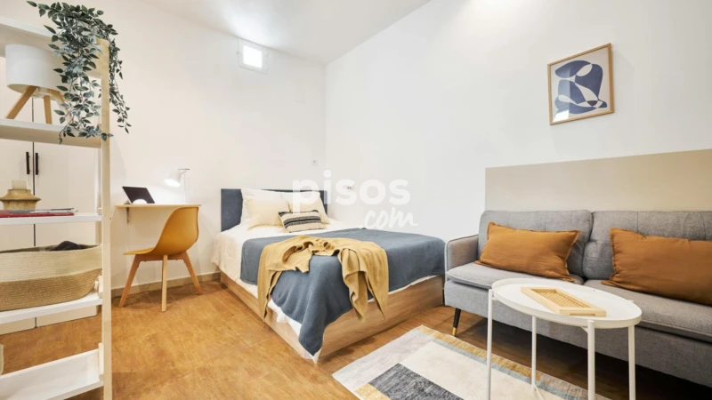 Piso en alquiler en Embajadores-Lavapiés