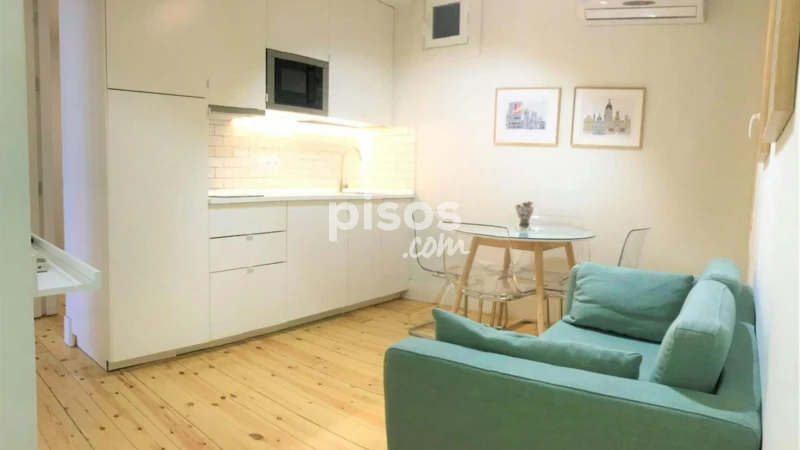 Piso en alquiler en Embajadores-Lavapiés