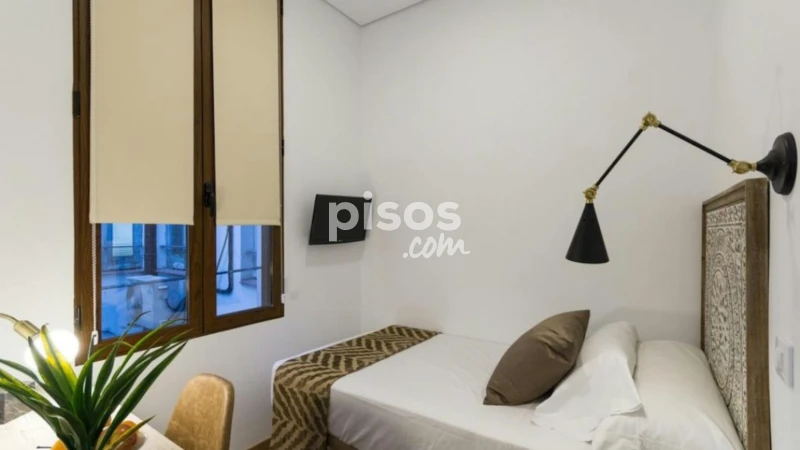 Piso en alquiler en Embajadores-Lavapiés