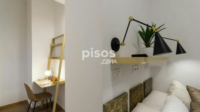 Piso en alquiler en Embajadores-Lavapiés
