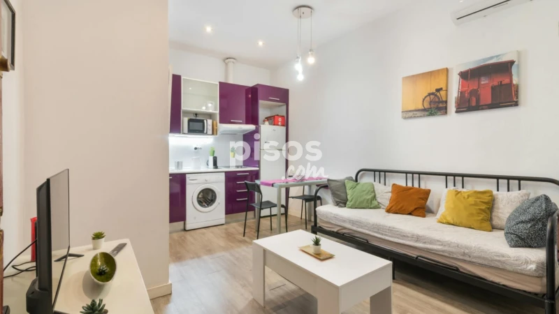 Piso en alquiler en Embajadores-Lavapiés
